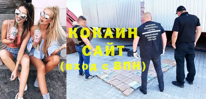 цена   Сураж  COCAIN Fish Scale 